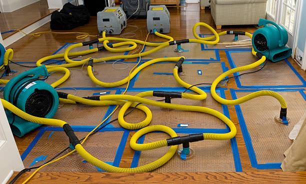 Professional Structural Drying And Dehumidification technician working in Geneva, IL